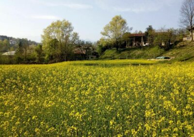 cascina torrazza paesaggio