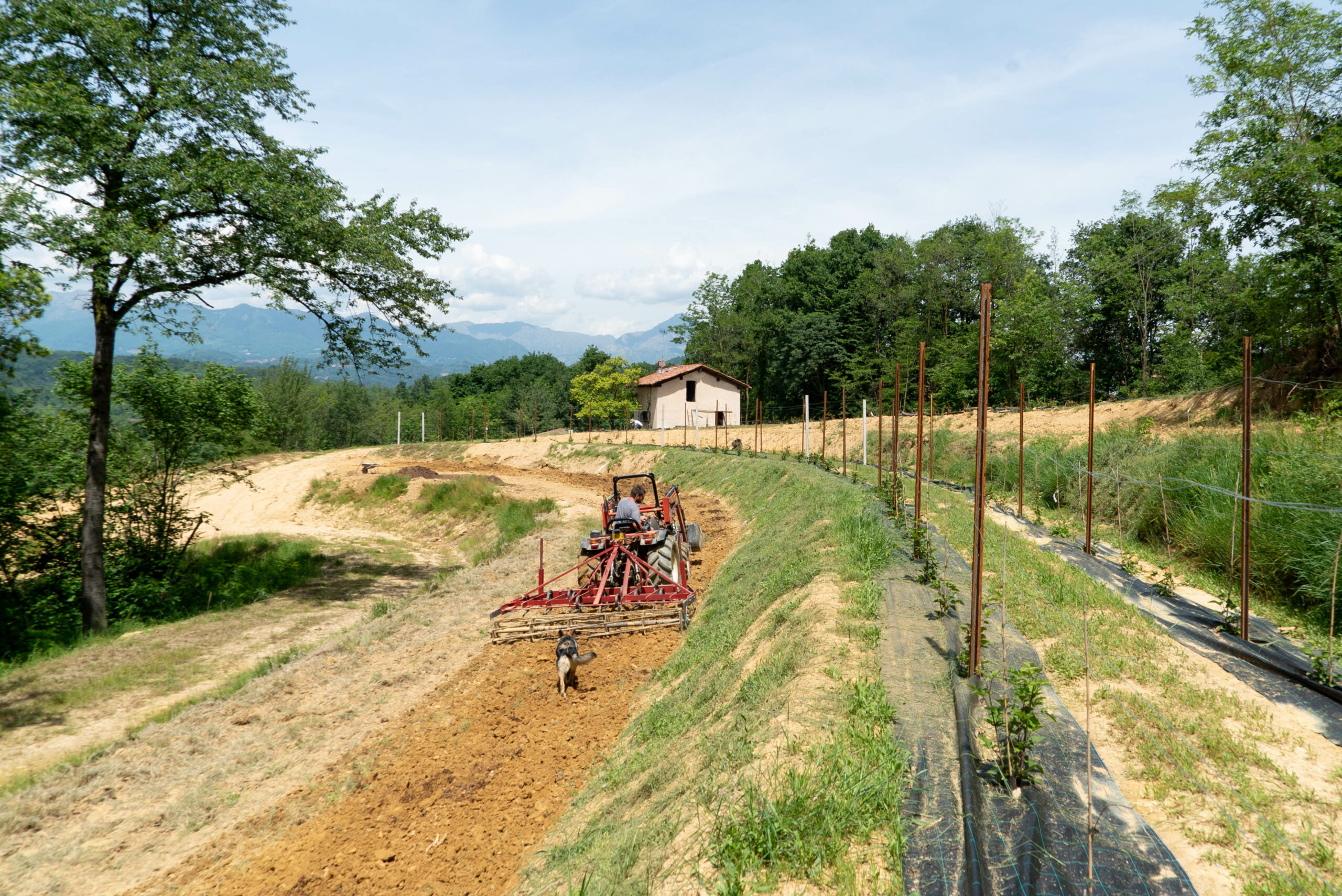 Campo esterni maserano  atuttocampo